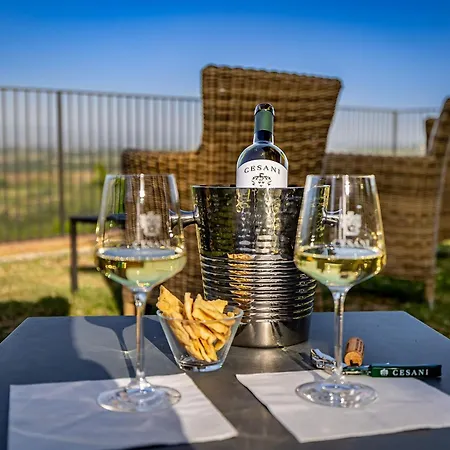 Cesani San Gimignano